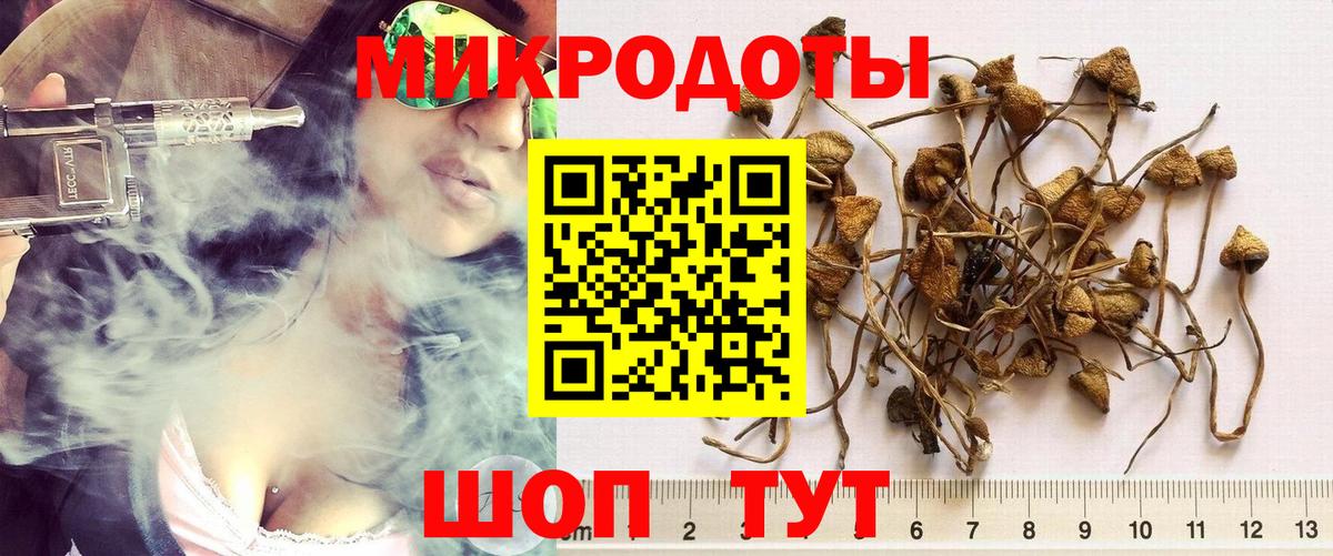 Галлюциногенные грибы мицелий Белорецк