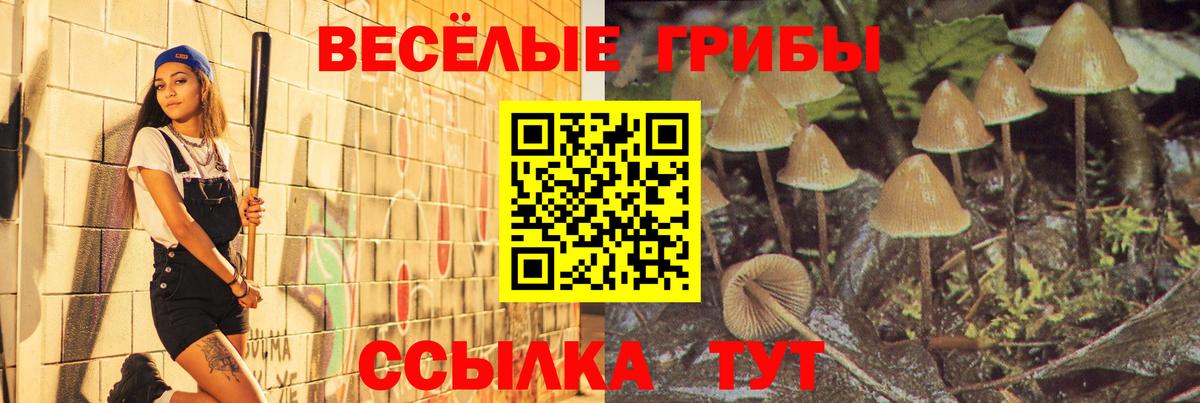 Галлюциногенные грибы мицелий  Вход с VPN  Белорецк 
